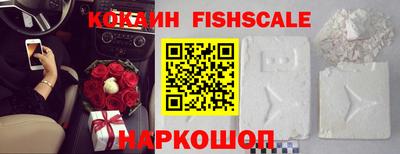 спиды Гатчина