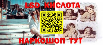 спиды Гатчина