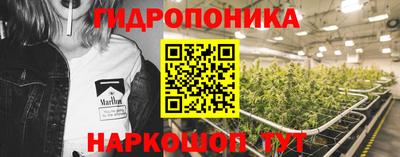 скорость Гагарин