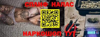 спиды Гатчина