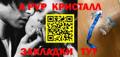 спиды Гатчина